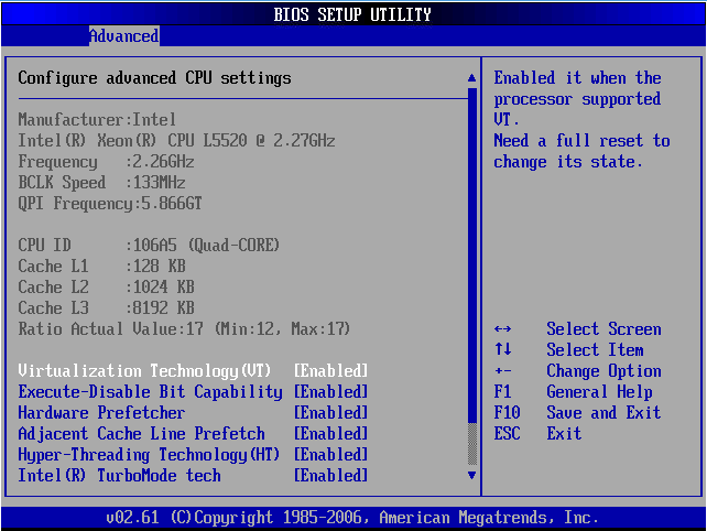 dell-c6100-bios-cpu-virt.ong.png