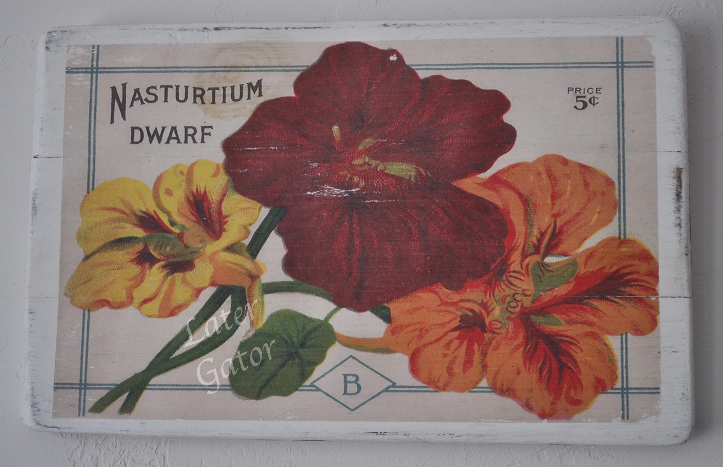 nasturtiums.JPG