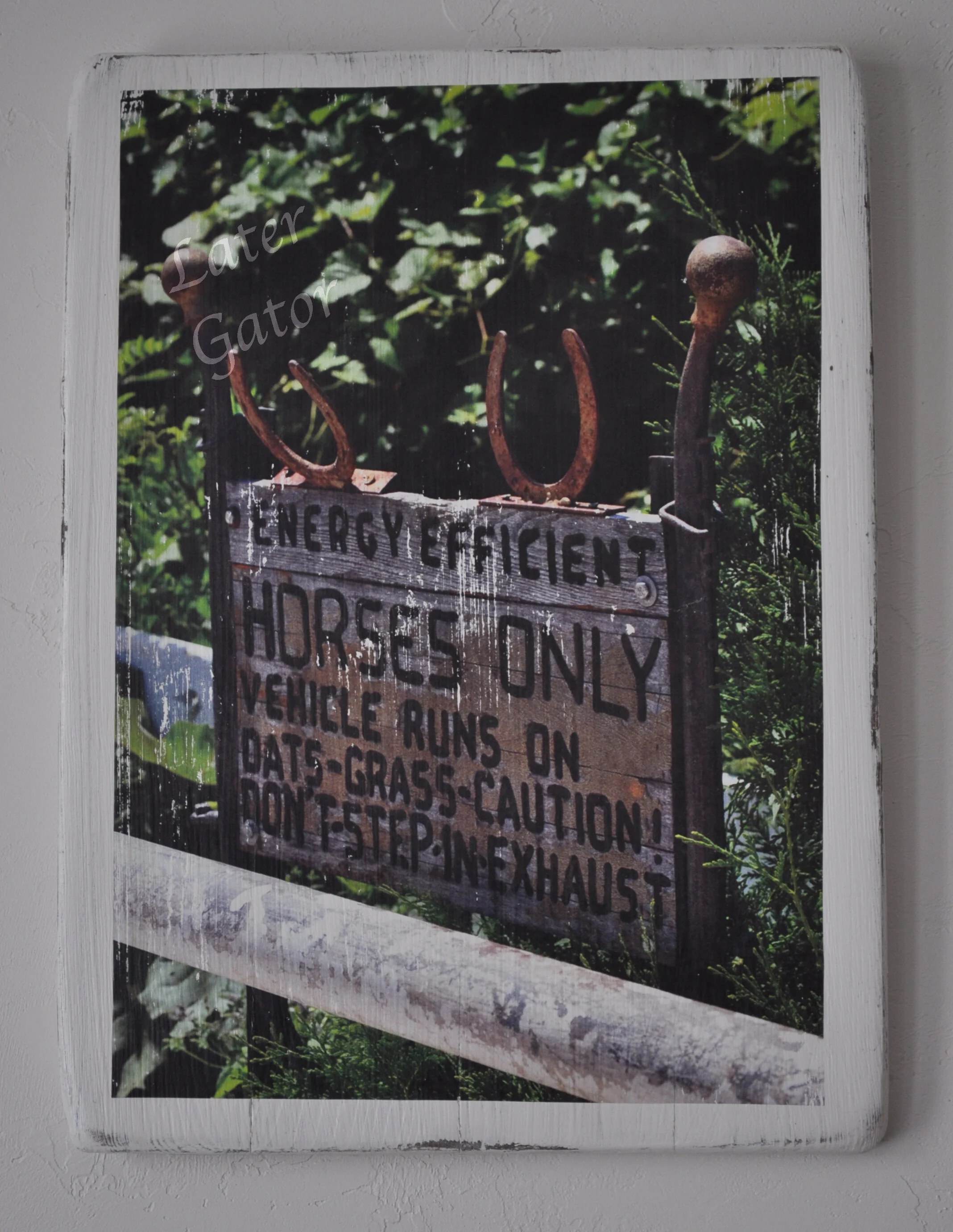 horse sign.JPG