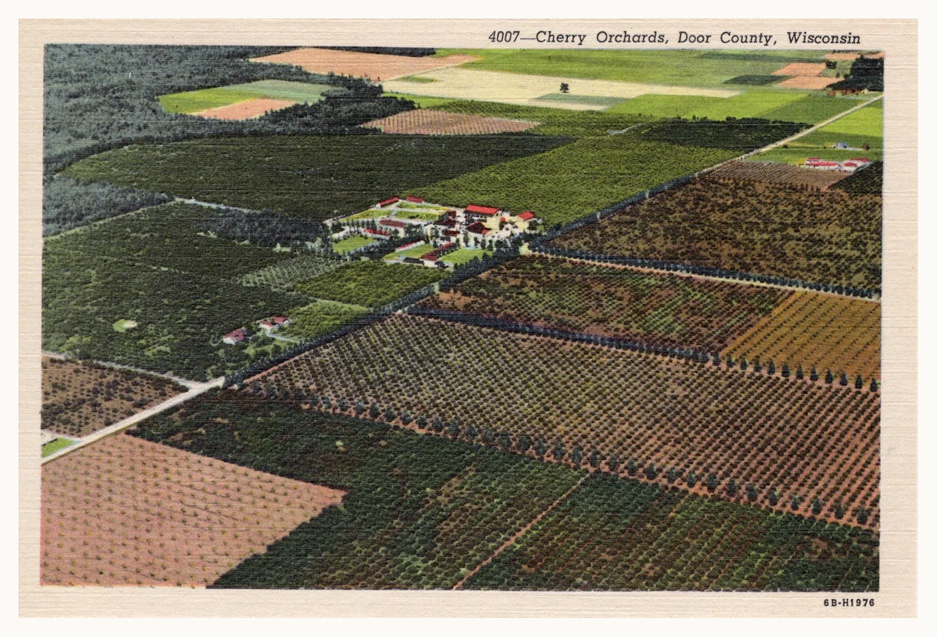 aerial cherry trees 1946.jpg