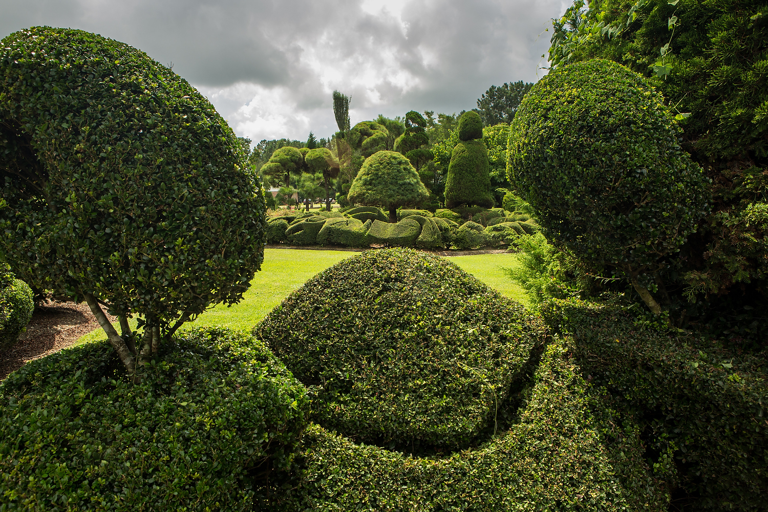 Pearl Fryar's Topiary Garden