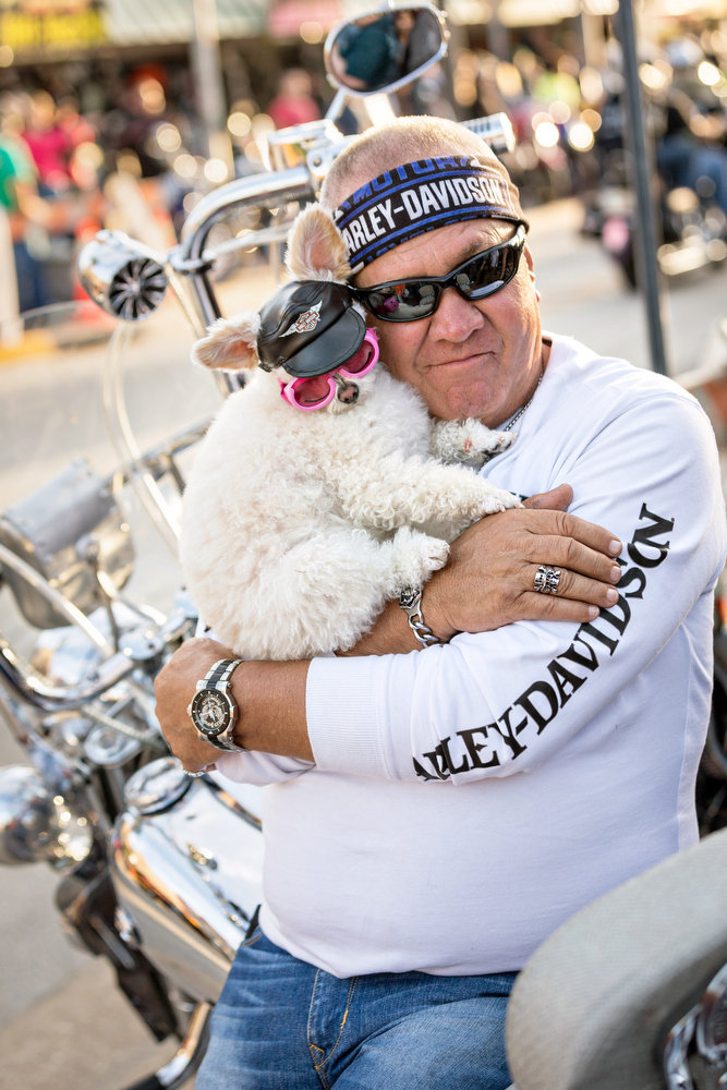 Harley Biker