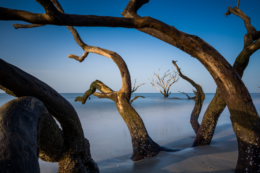 Botany Bay Edisto