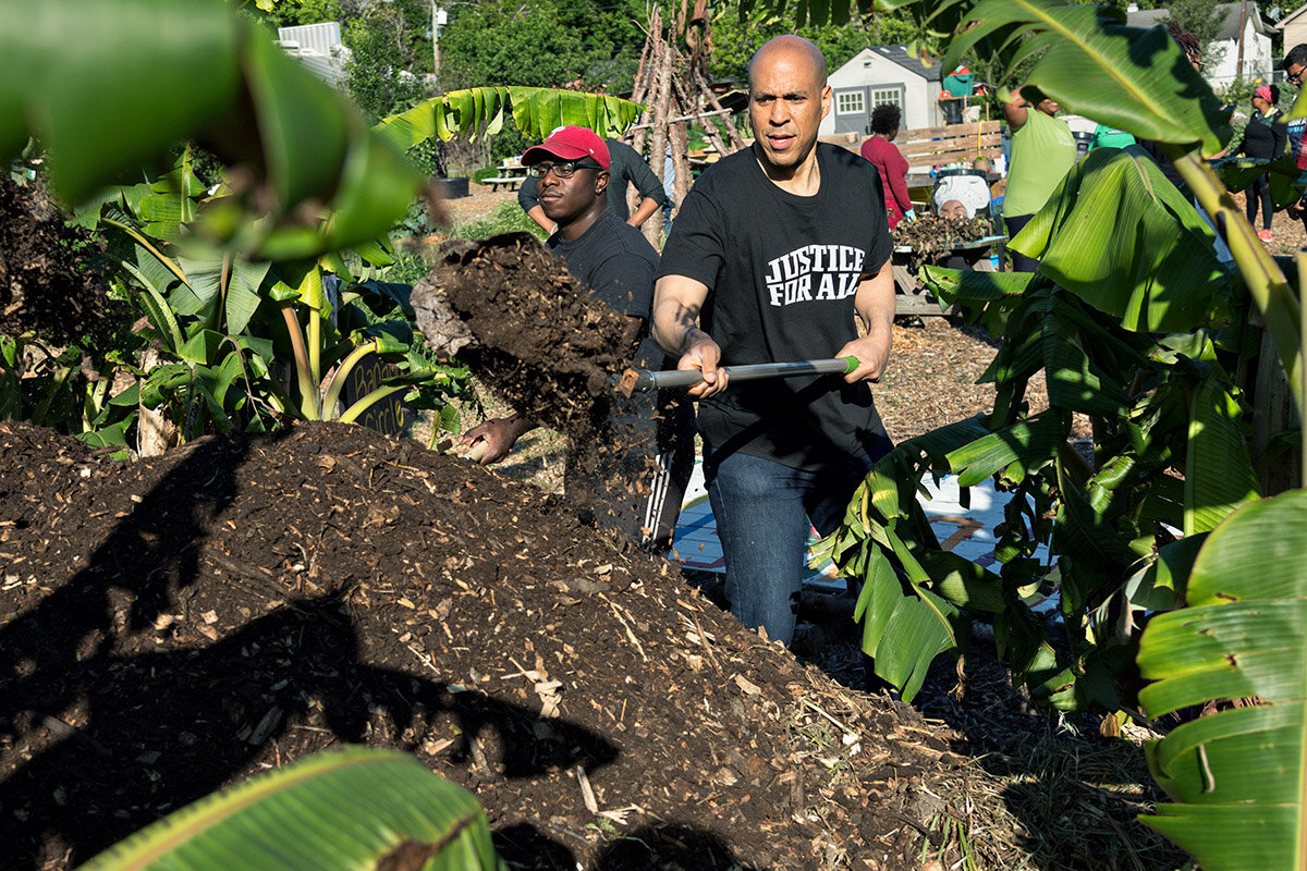  Democratic presidential hopeful Senator Cory Booker helps shovel compost in a banana patch during a visit to Fresh Future Farm April 27, 2019 in North Charleston, South Carolina. Booker spent his 50th birthday helping out at the urban farm as part o