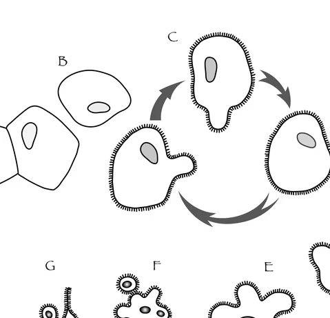 Schematics_Thumbnail.jpg