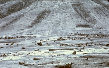 Monte Santa Helena 29 Septiembre 1980