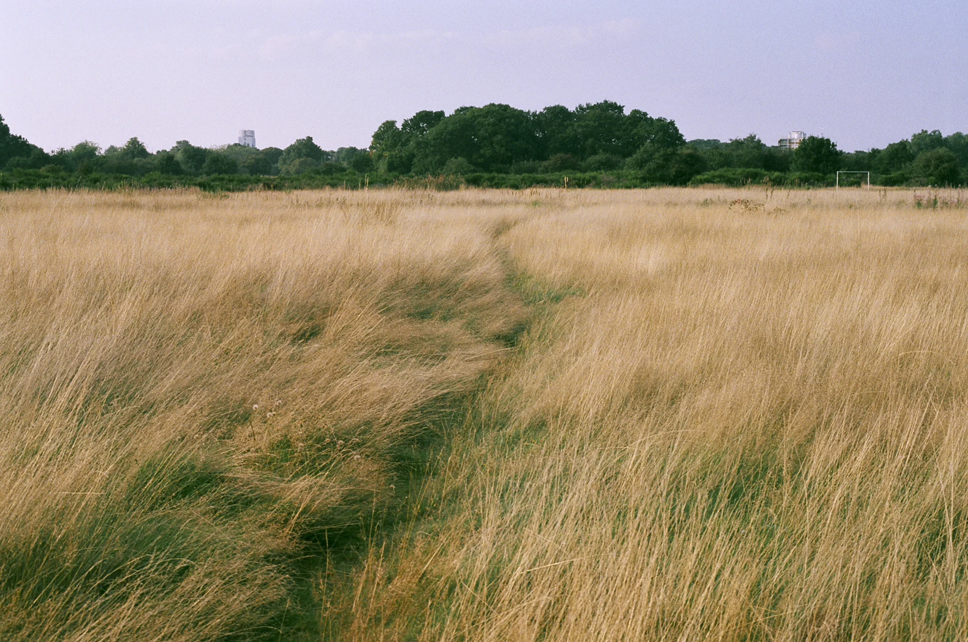 Visual Diary: Cindy Parthonnaud