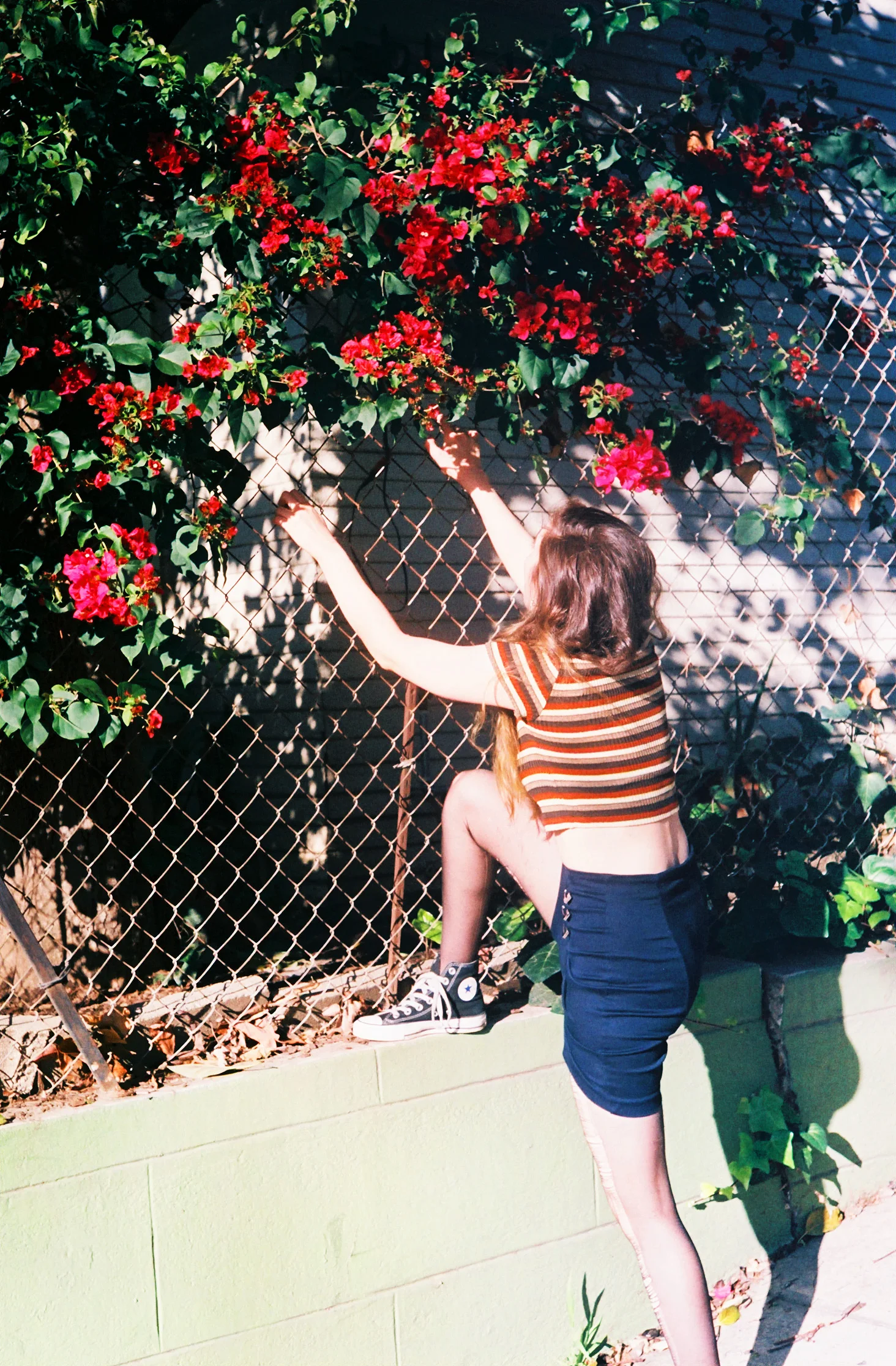 Photo by Kelsey Reckling