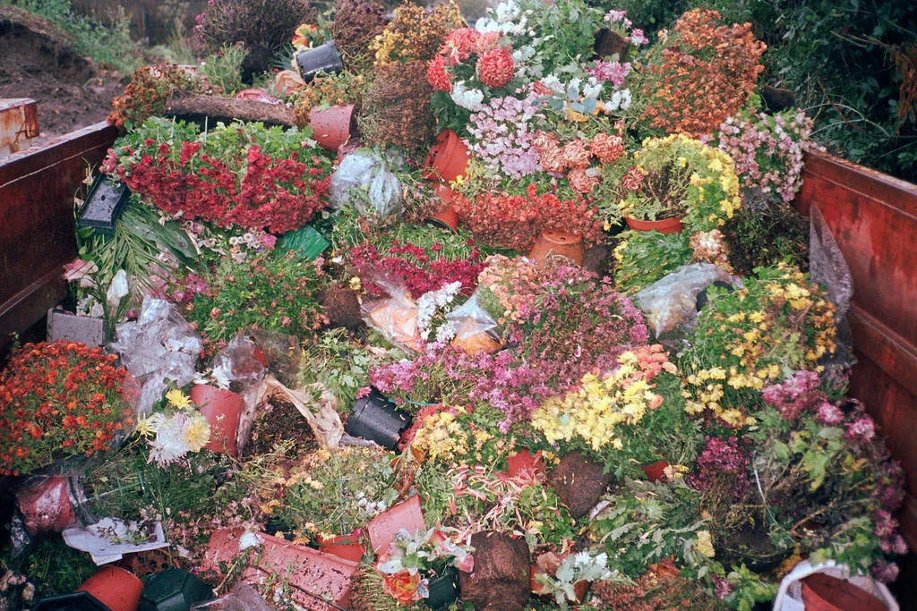 No Matter Where We Go