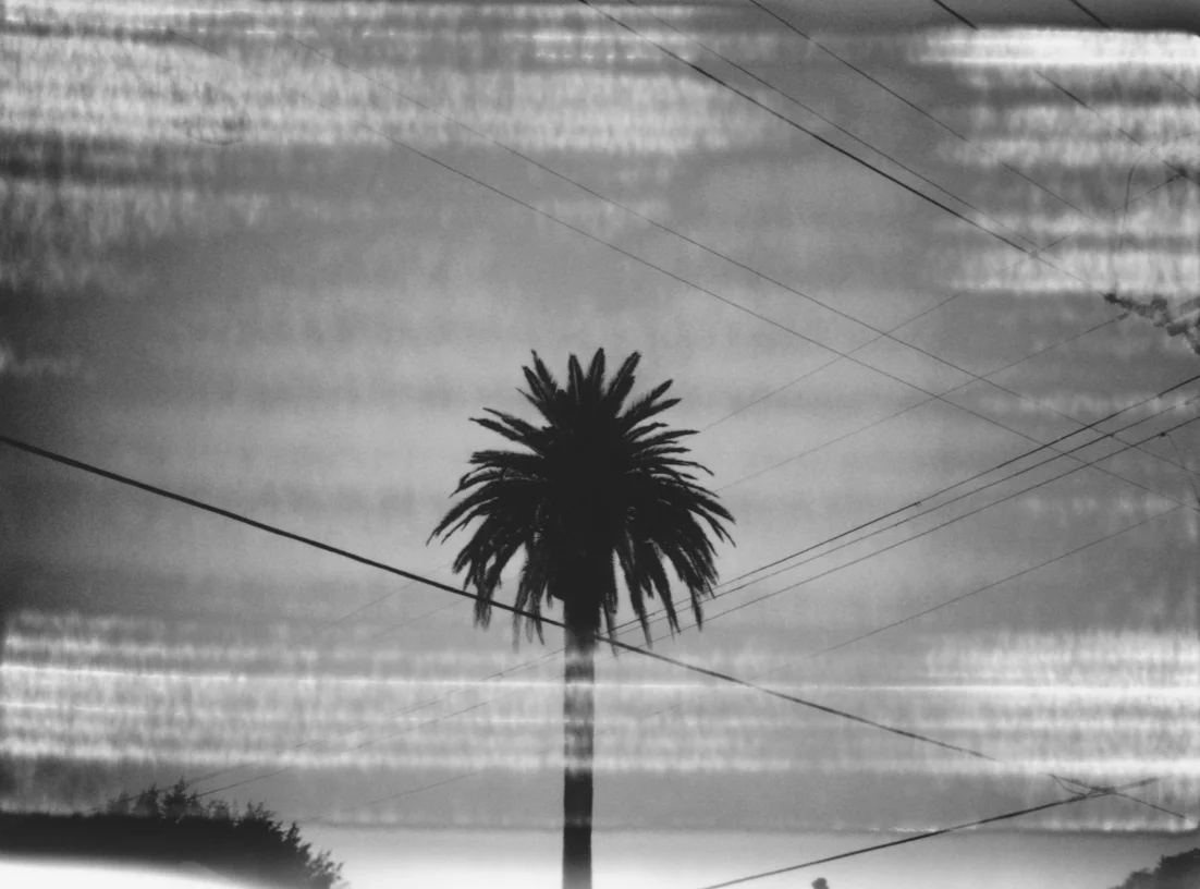 Cyrus Mahboubian: "Mulholland: Polaroids from L.A."