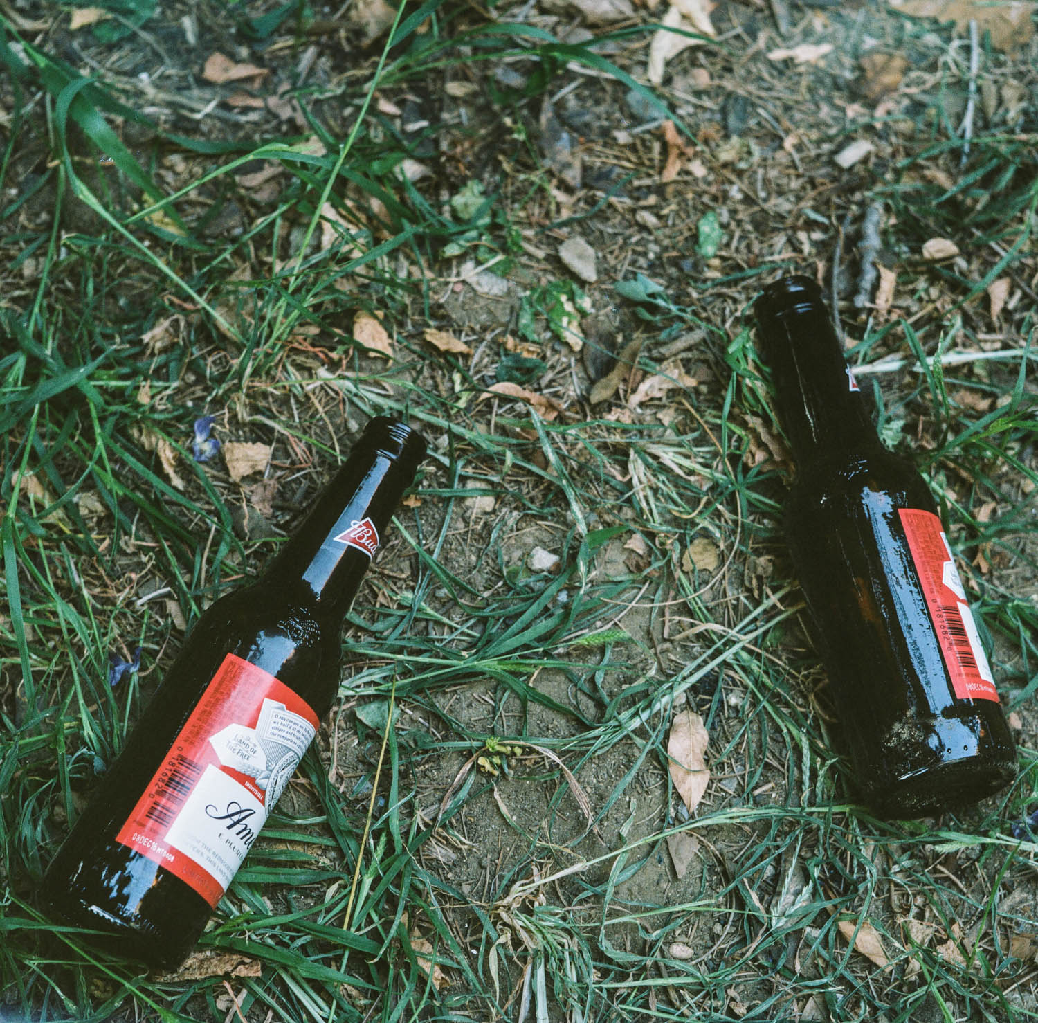 Photographed by Rachel Cabitt
