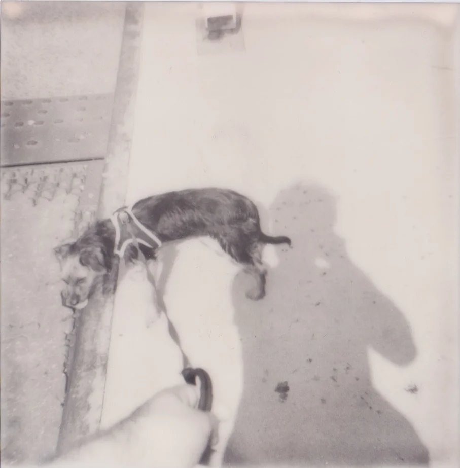 Photo Diary: Jackson Krule