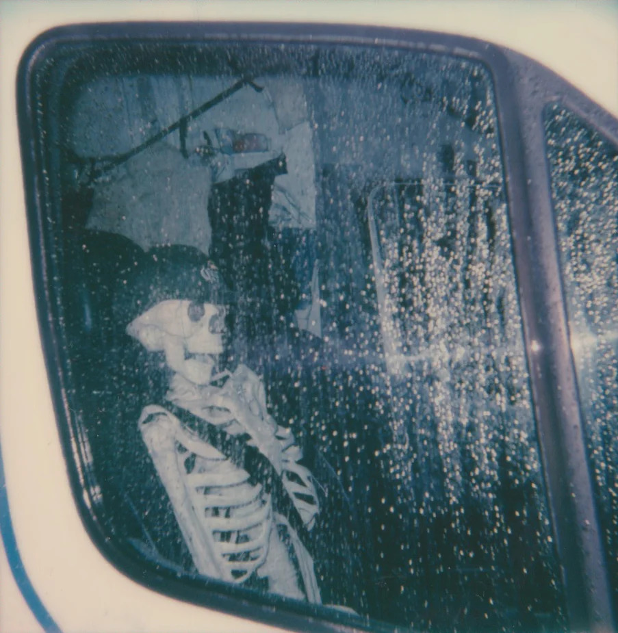 Photo by Rachel Cabitt