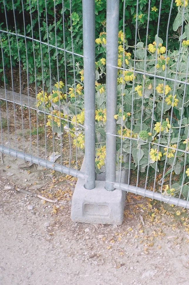 84030016.jpg