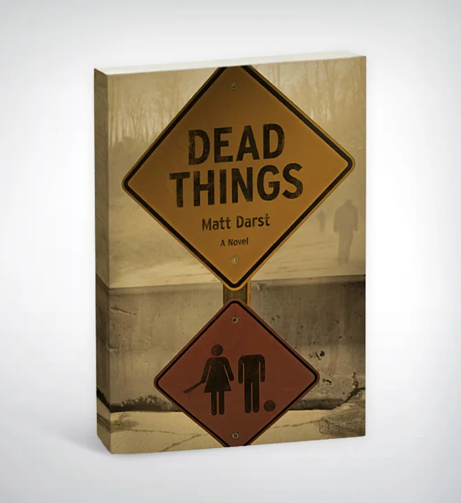 BookCoverDummy2eb.jpg