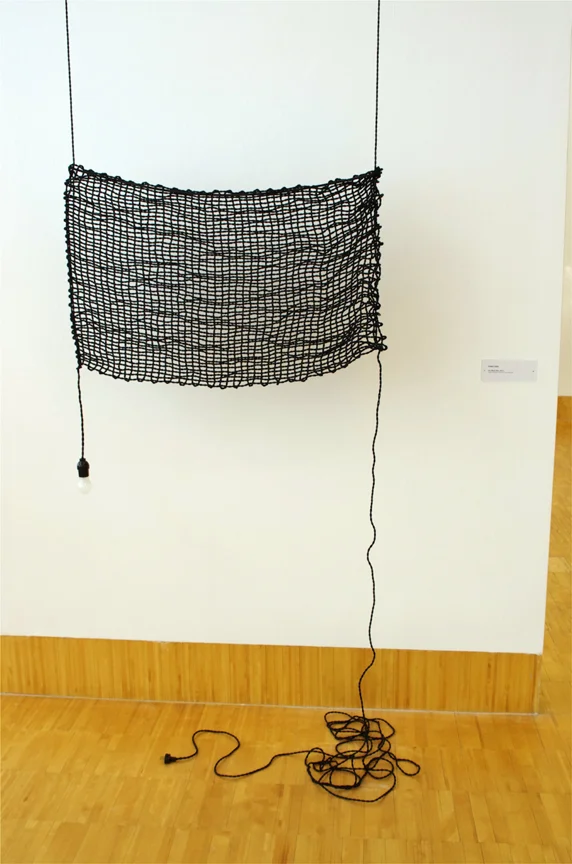 Essl Inst26-rk.jpg