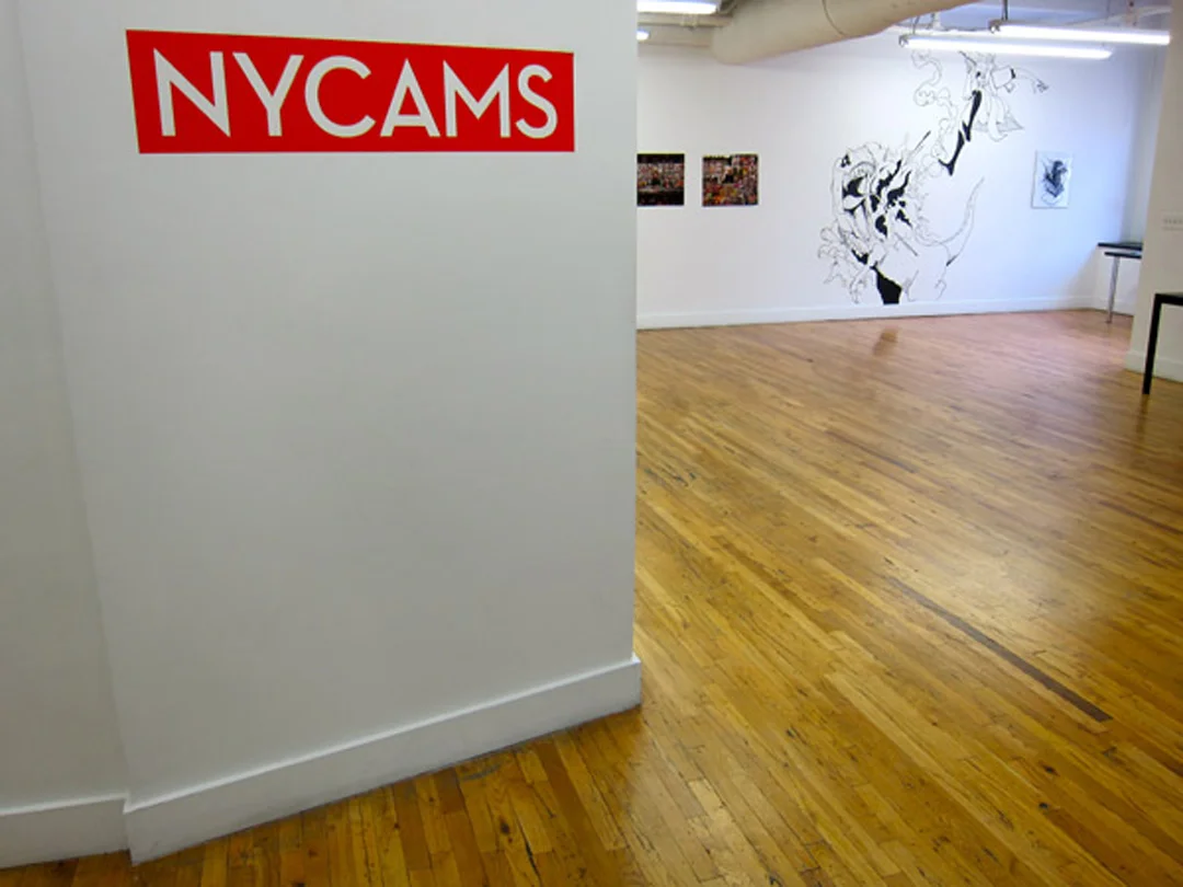 nycams15.jpg