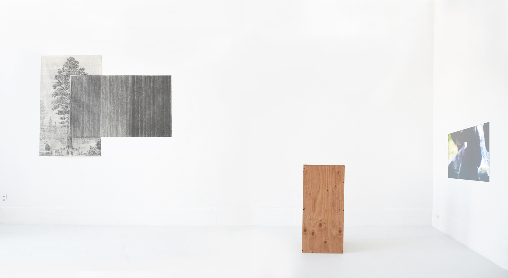 Arbol & Doblar la Tierra (video)