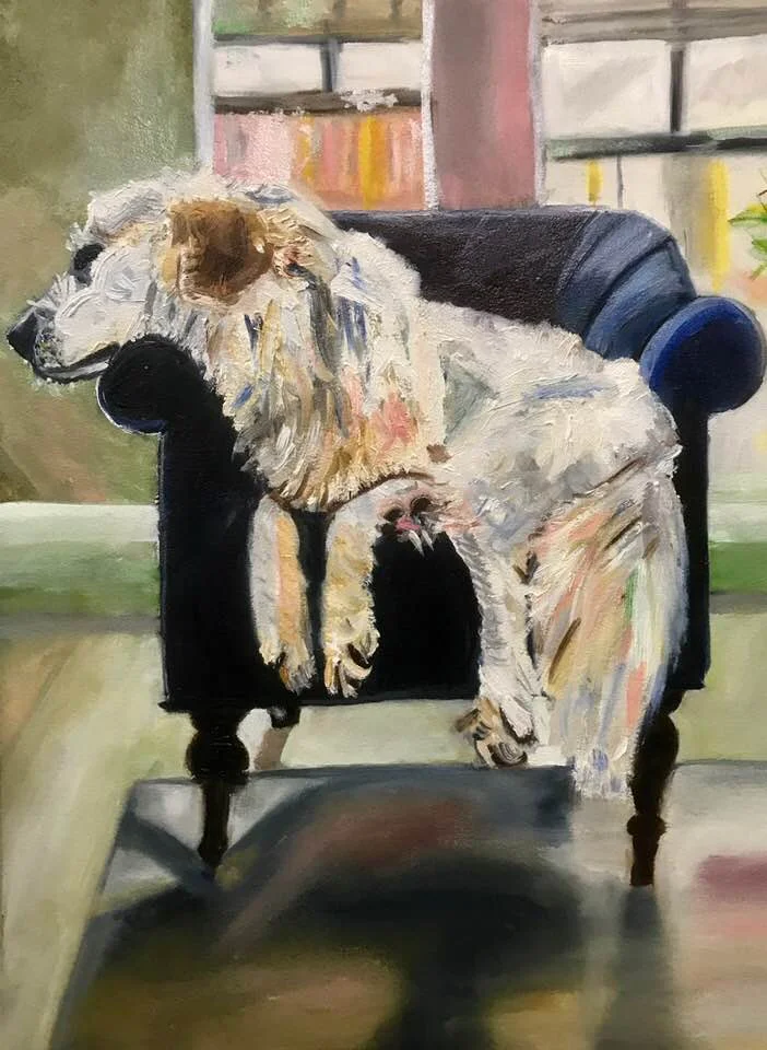 dog2.jpg
