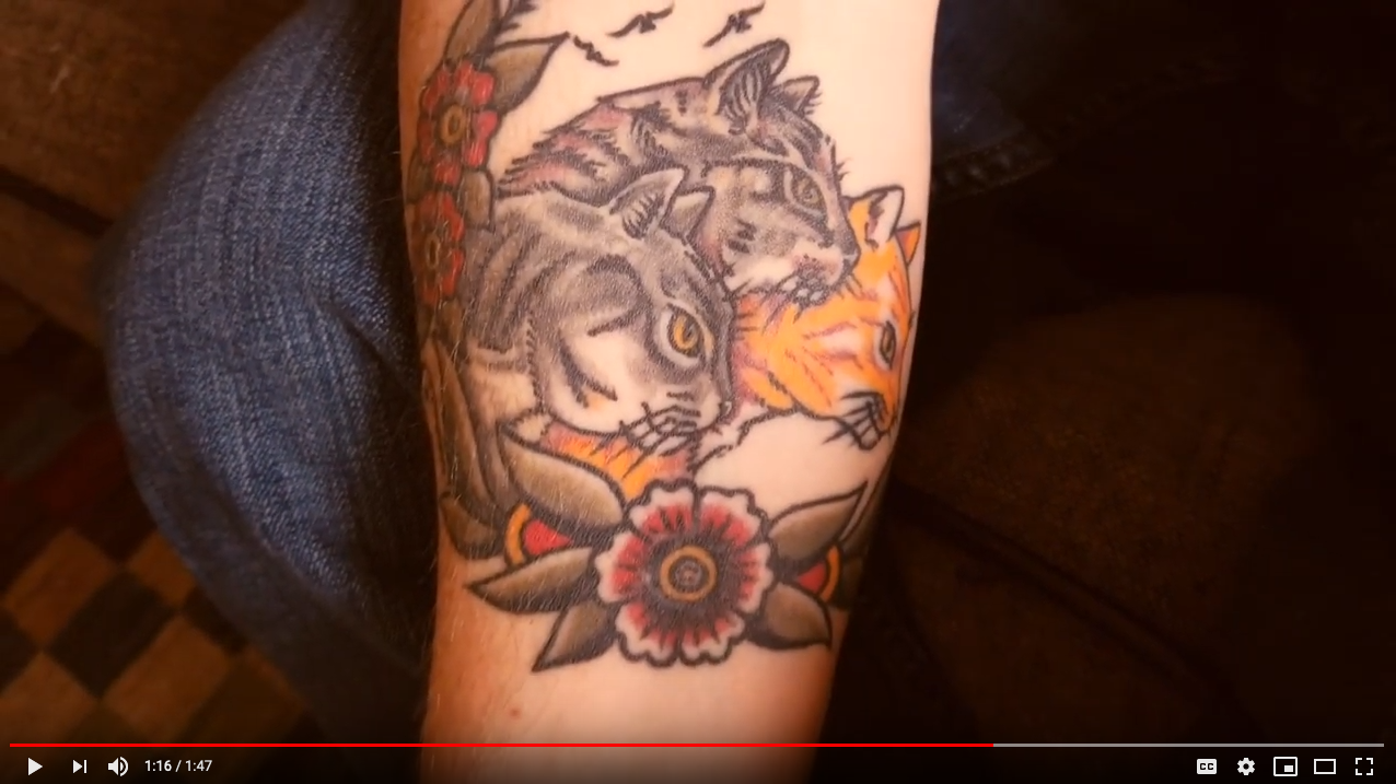 A still from the Old Cats official video.