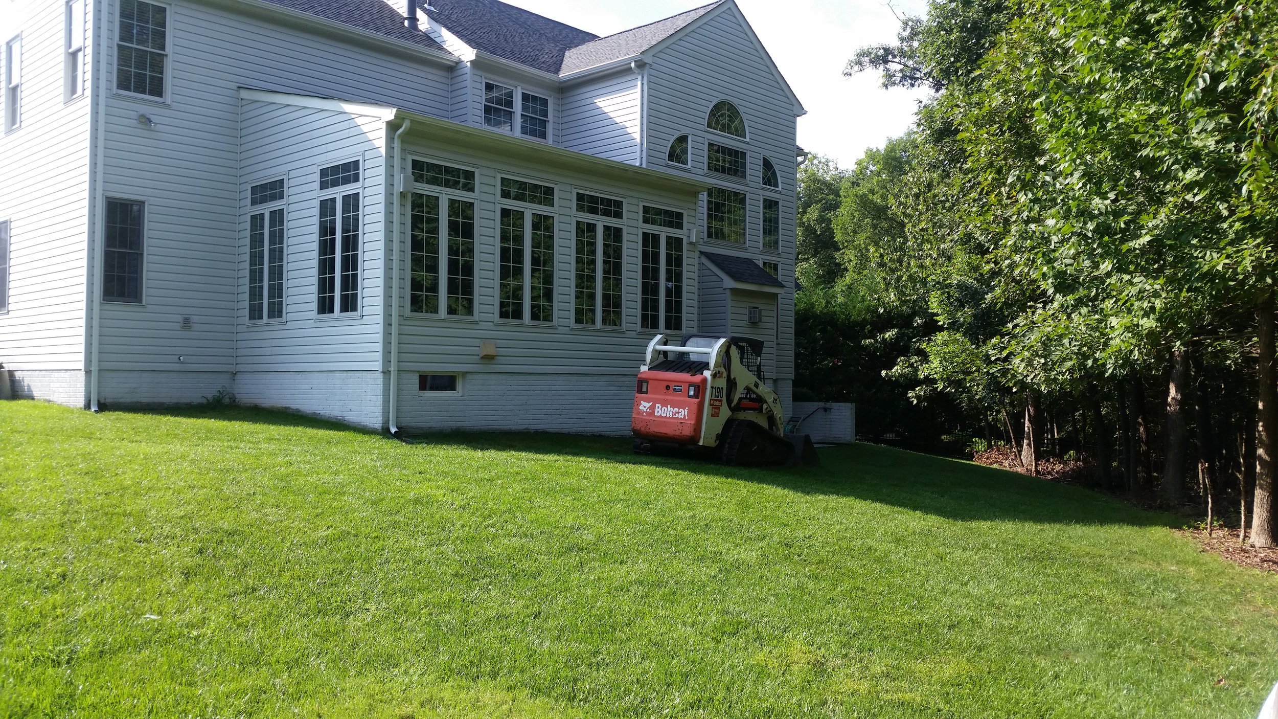 Backyard before