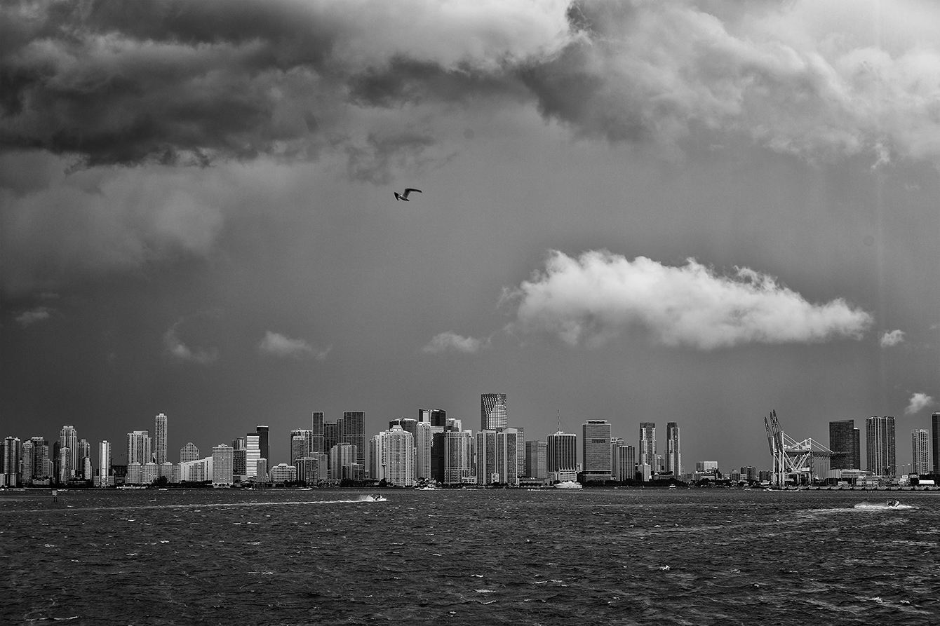 Miami Skyline