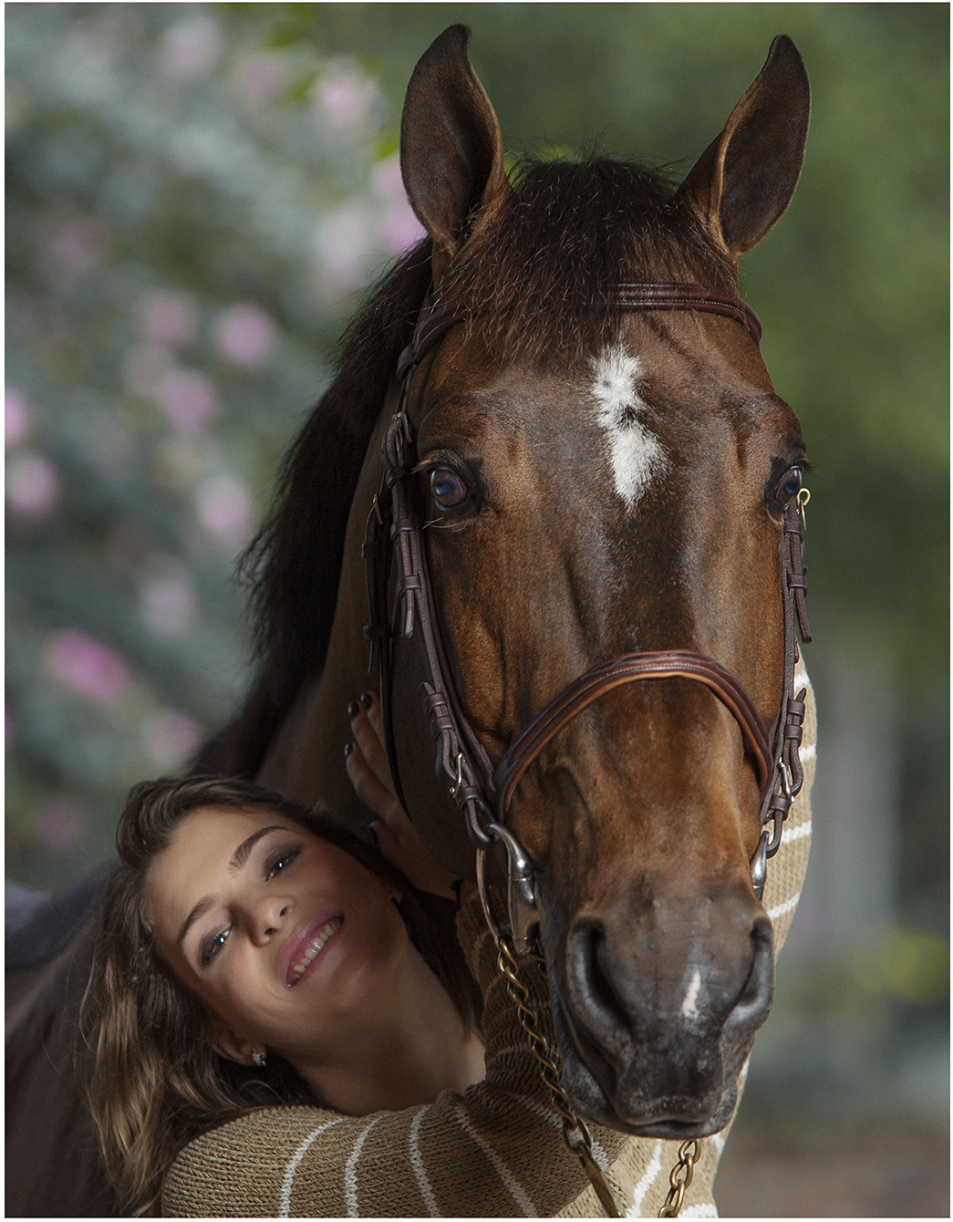 Horse Portraits