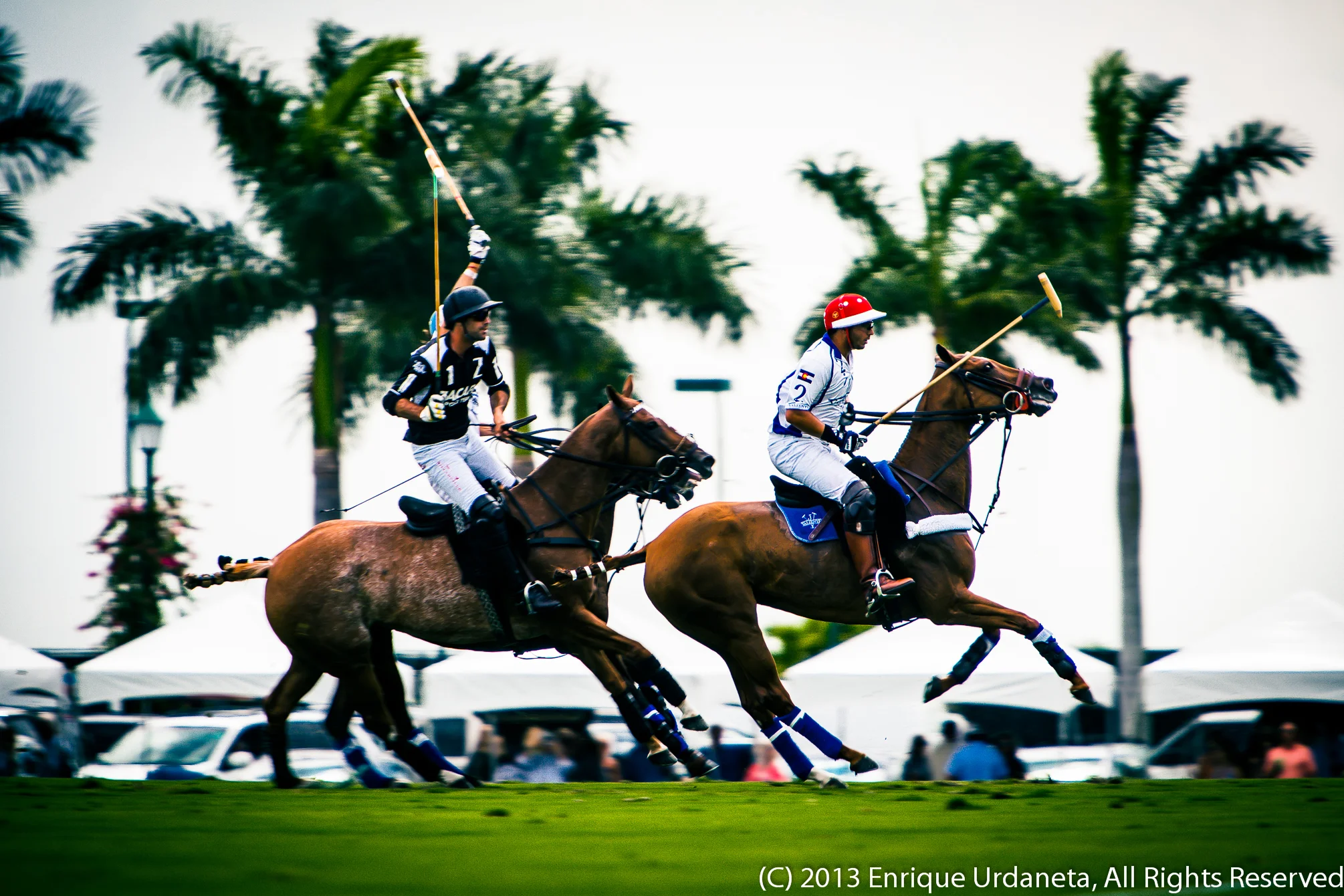 Polo Photographer