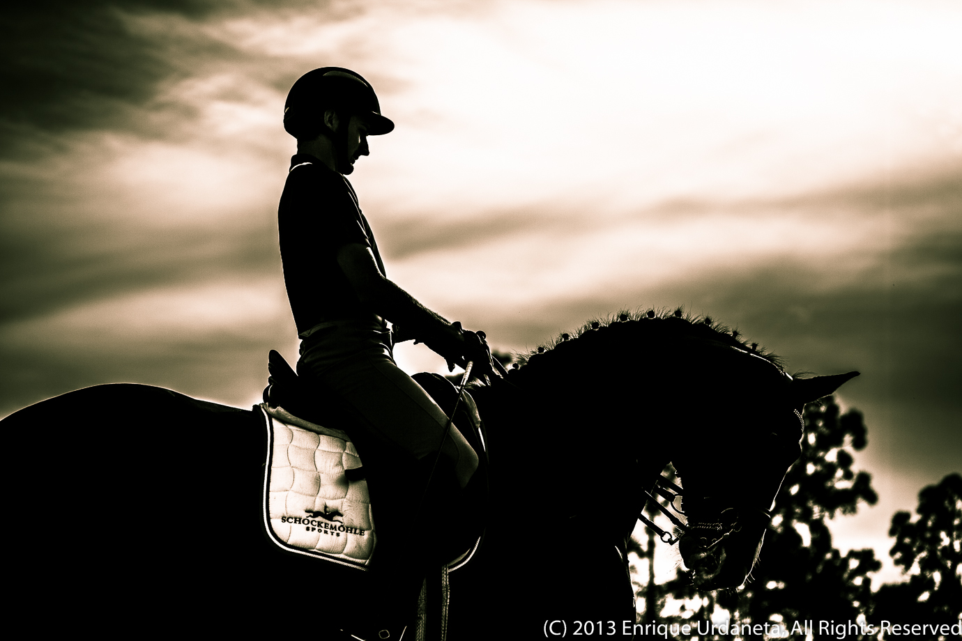 How to take horse photos