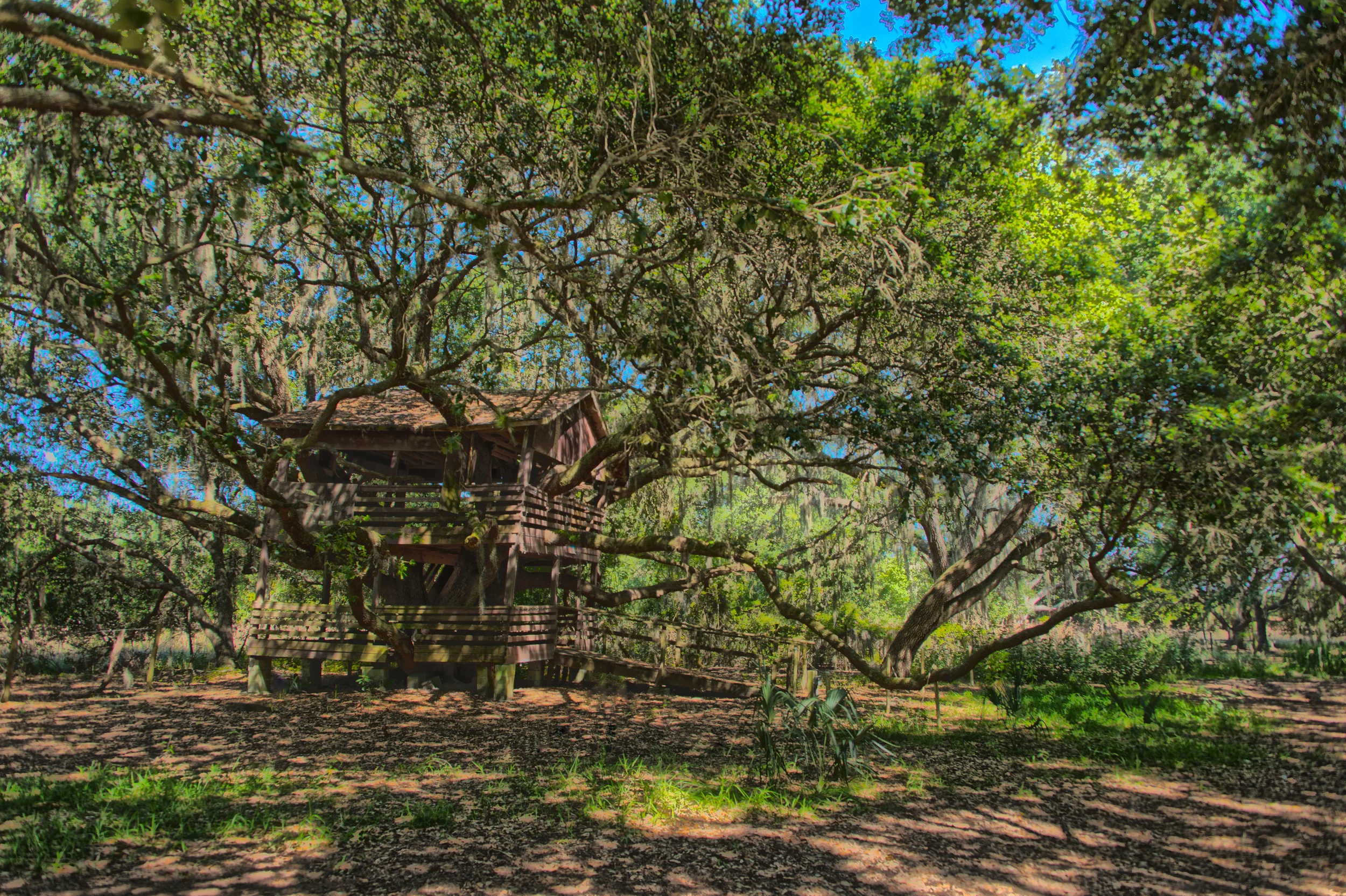 Camp_La_Llanada-EUA_6955-Edit.jpg