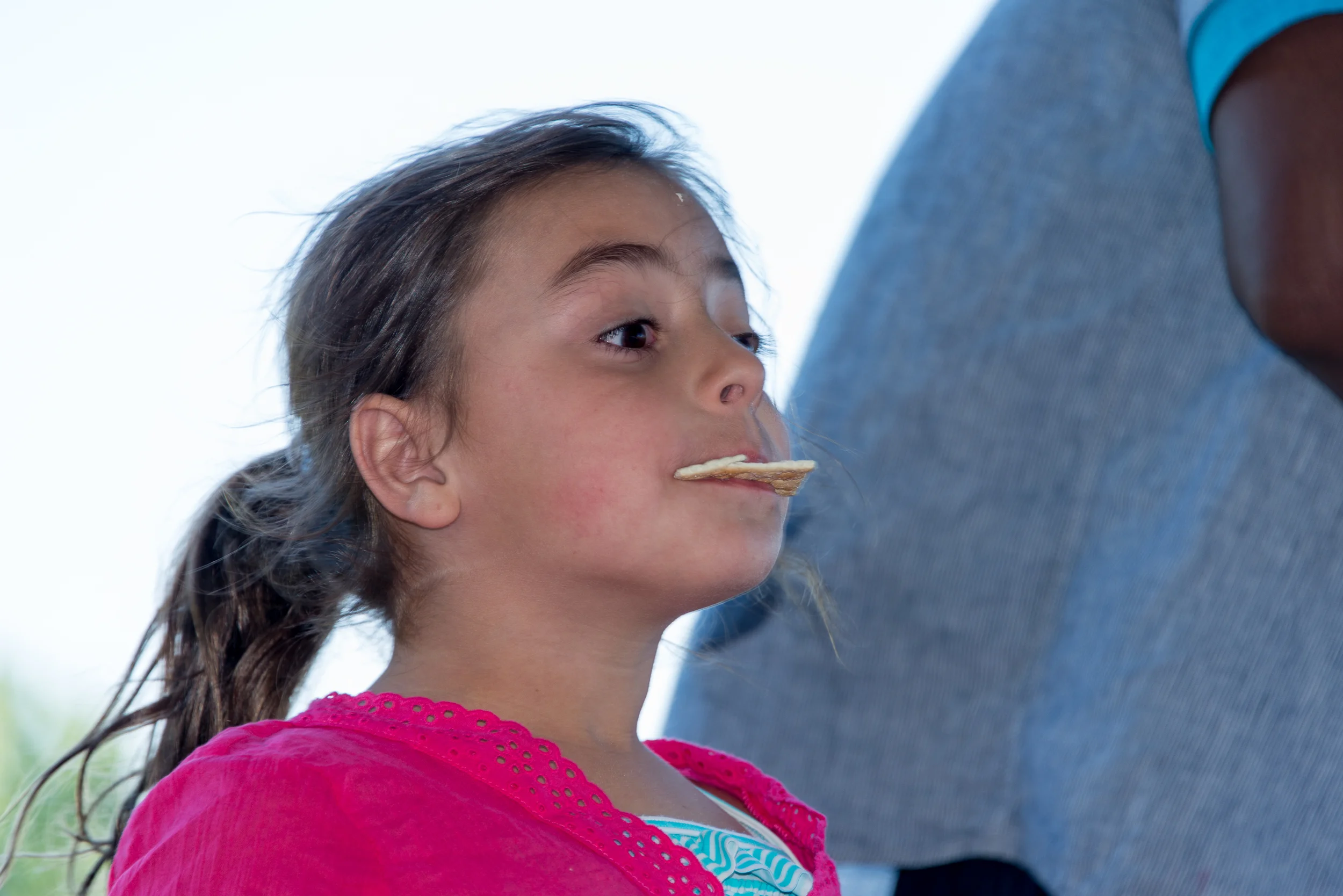 Camp_La_Llanada-EUA_7112.jpg