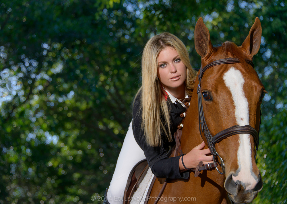 Best Horse Photographer