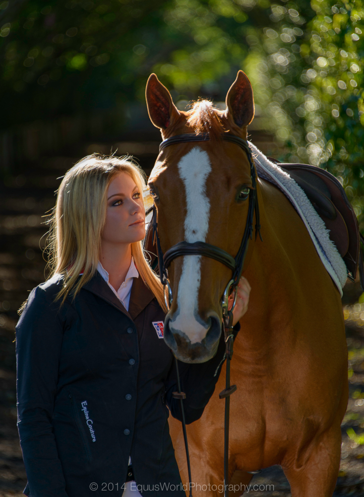 Miami Horse Photographer