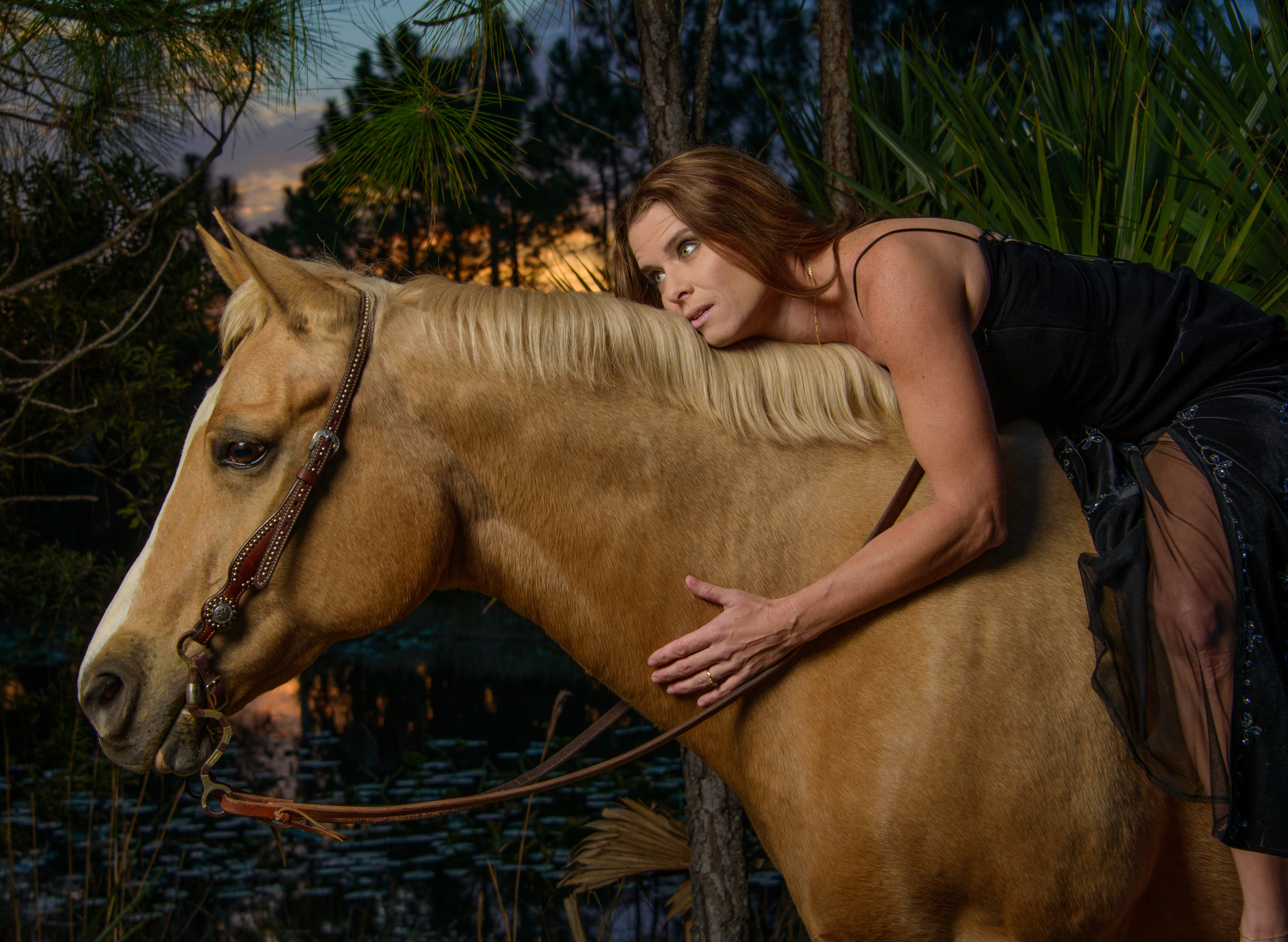 Wellington Horse Photographer