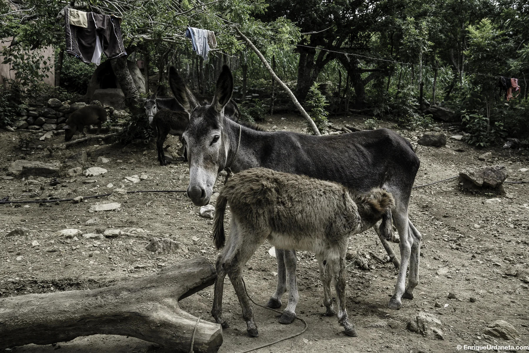 Brooke_Guatemala_Day_2_20160919-534.jpg