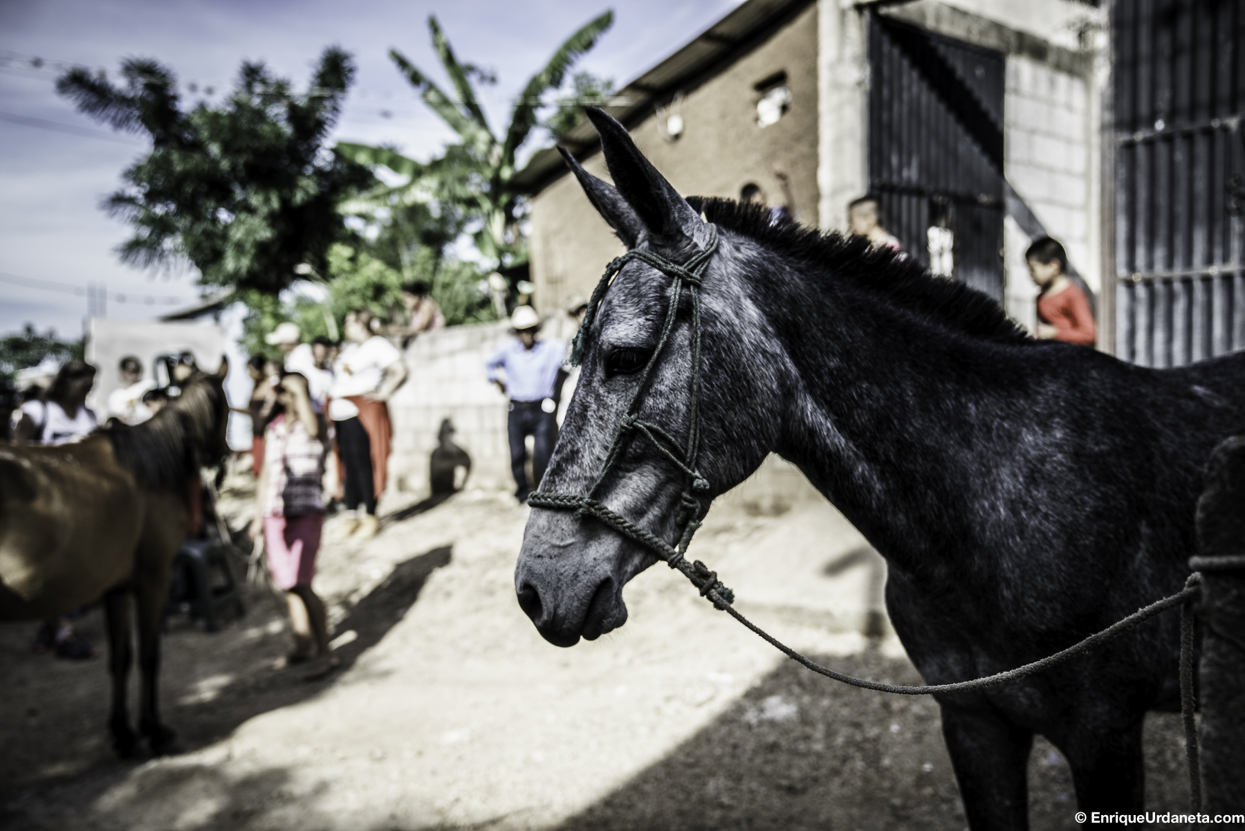 Brooke_Guatemala_Day_2_20160919-781.jpg