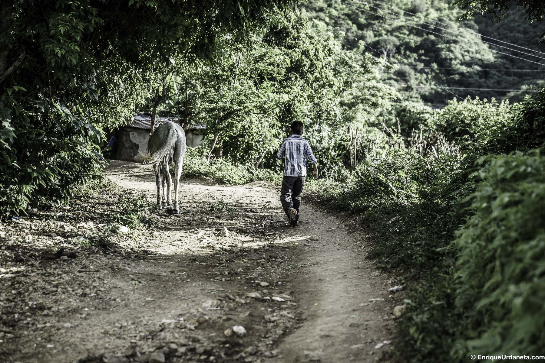 Brooke_Guatemala_Day_2_20160919-931.jpg