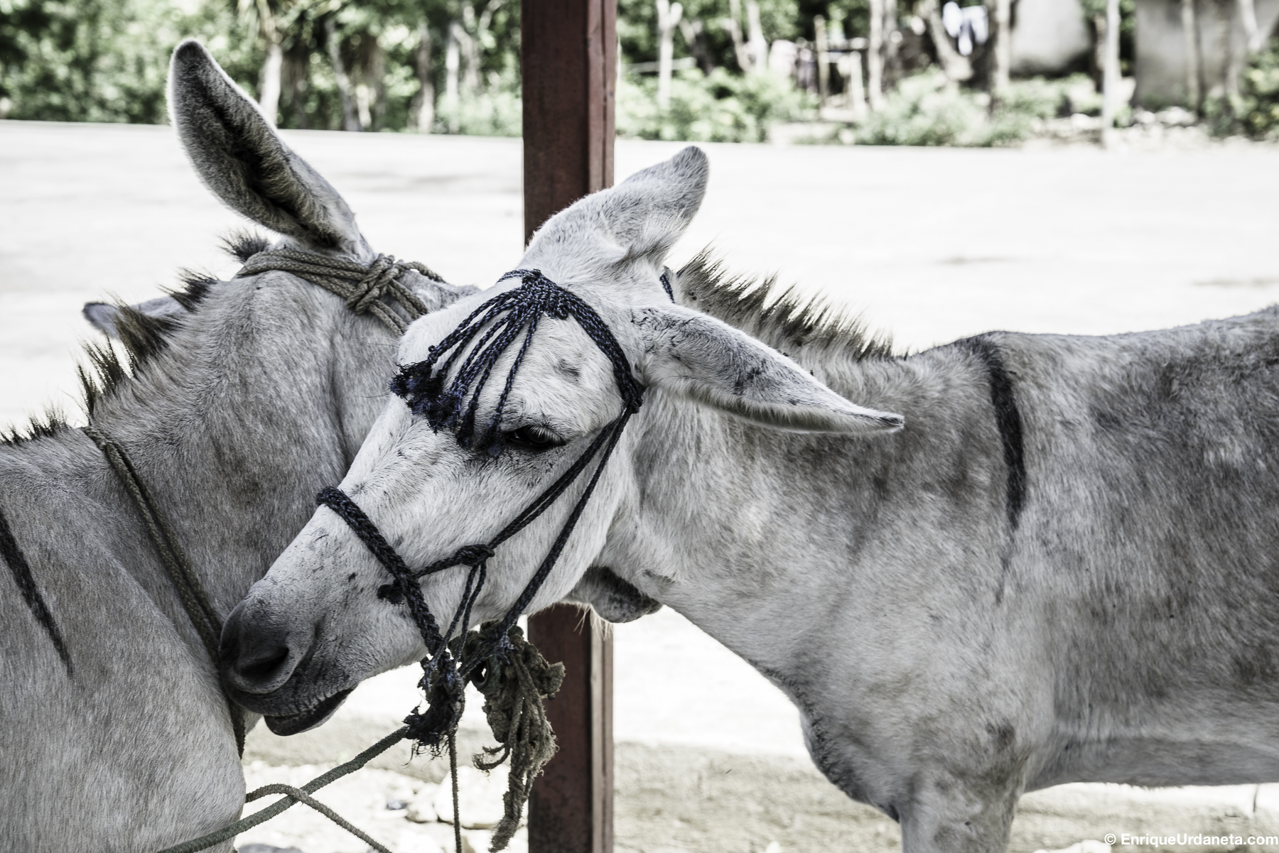 Brooke_Guatemala_Day_3_20160920-74.jpg