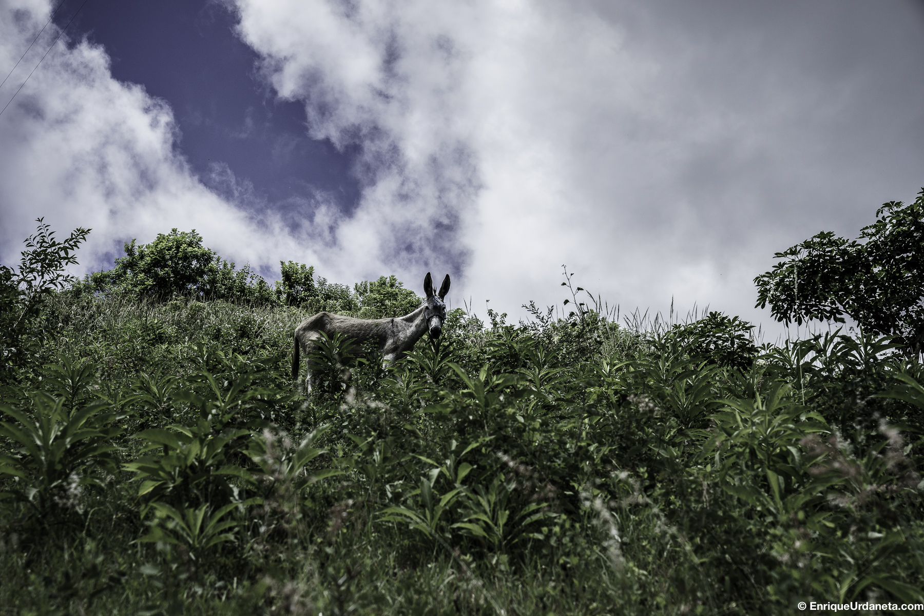 Brooke_Guatemala_Day_3_20160920-437.jpg