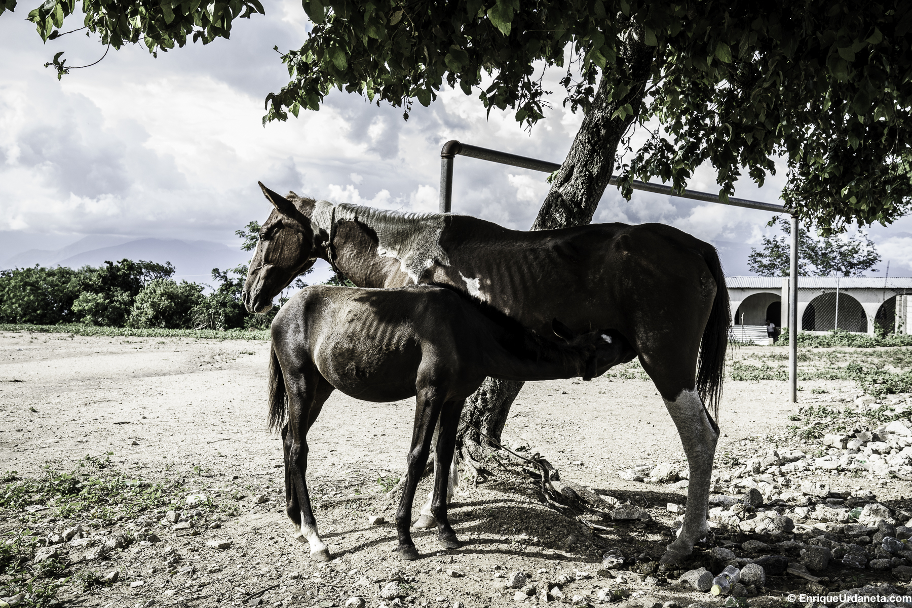 Brooke_Guatemala_Day_3_20160920-603.jpg