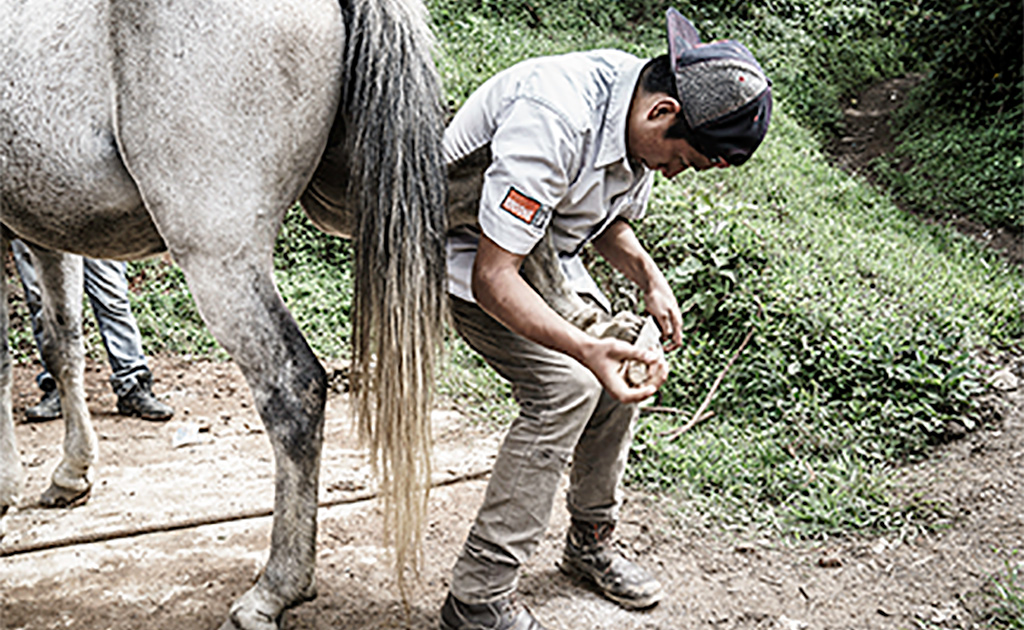Brooke_Guatemala_Day_6_20160923-288.jpg