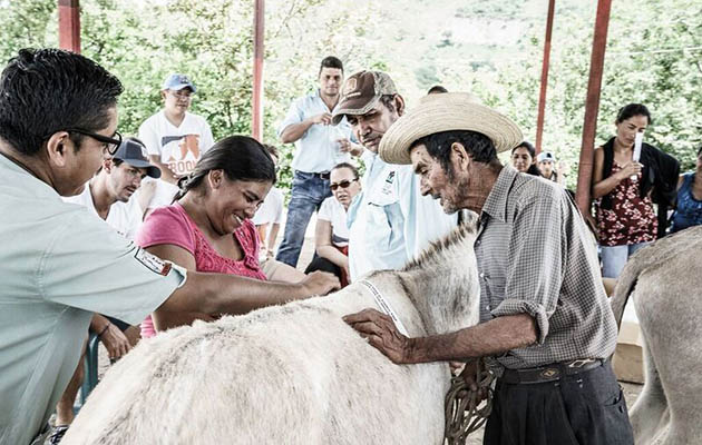 ELITE EQUESTRIAN, Volume 16 Issue 6 Polo Player Nic Roldan visits Guatemala to see The Brooke’s work first hand. Photos by Enrique Urdaneta 