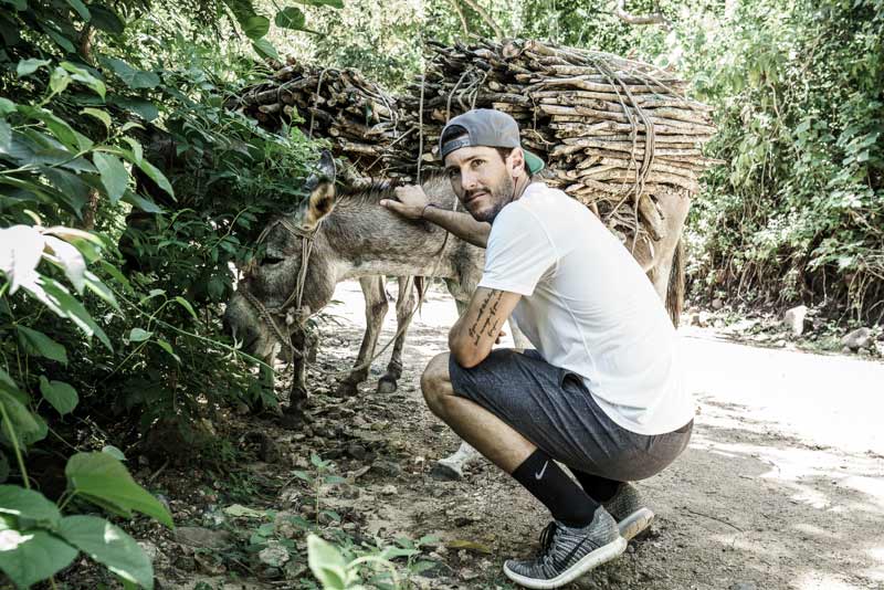 nic-roldan-donkey2.jpg