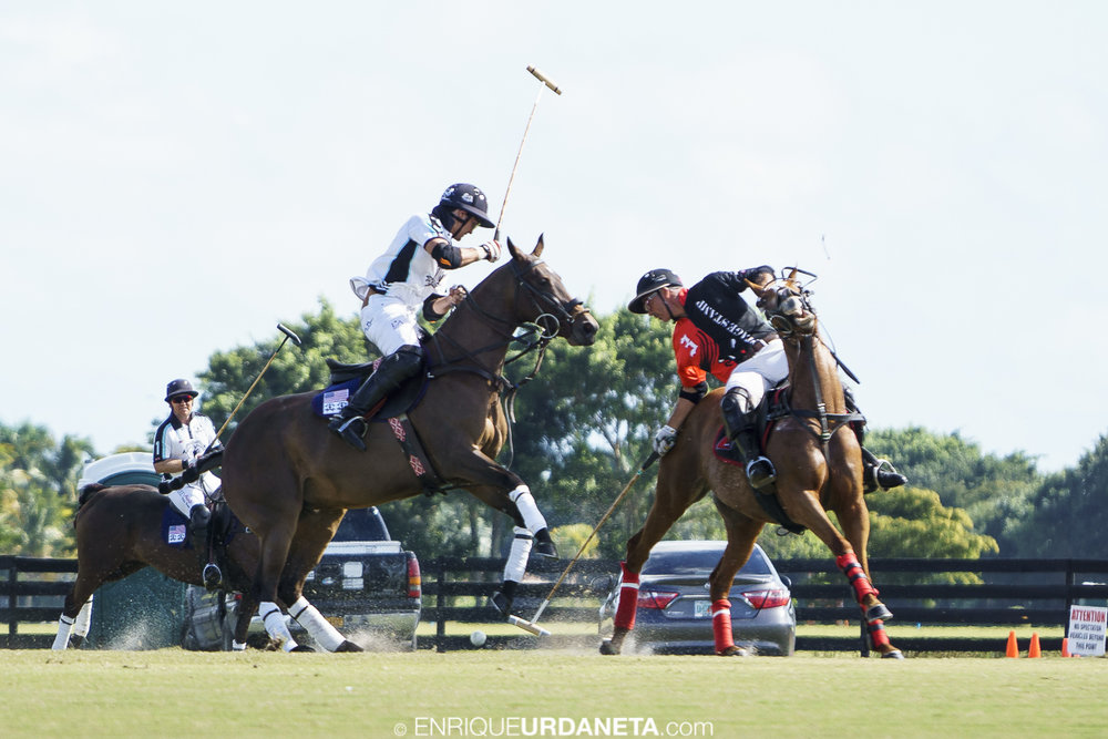 Polo_by_Enrique_Urdaneta_20170112-62.jpg