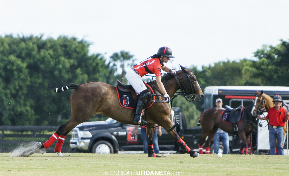 Polo_by_Enrique_Urdaneta_20170112-859.jpg