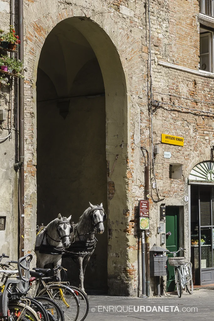 Lucca_Italy_by-Enrique-Urdaneta-20170616-6.jpg