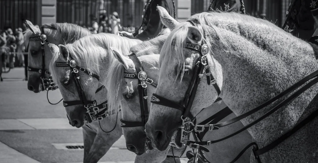 Relevo Solemne y Cambio de Guardia Real, Palacio Real, Madrid, España