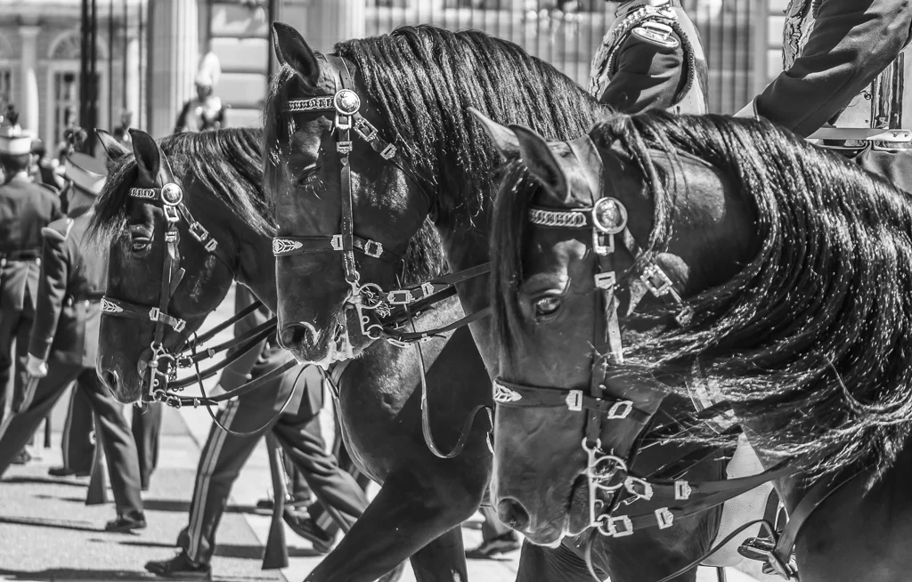 Relevo Solemne y Cambio de Guardia Real, Palacio Real, Madrid, España