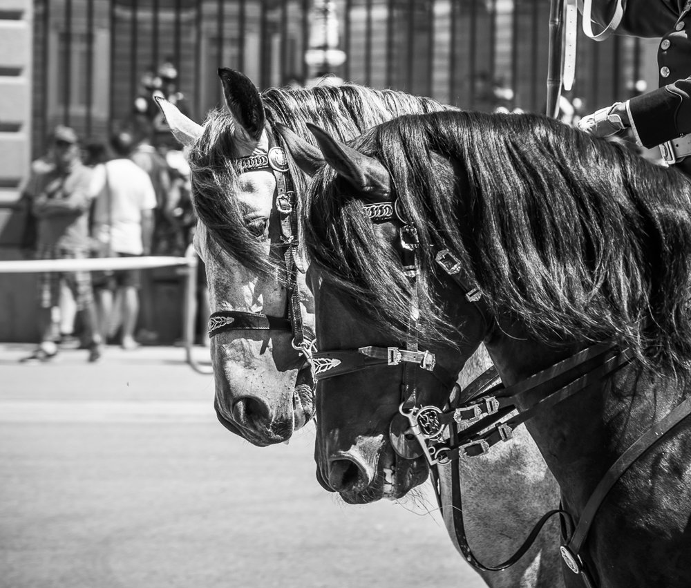 Relevo Solemne y Cambio de Guardia Real, Palacio Real, Madrid, España