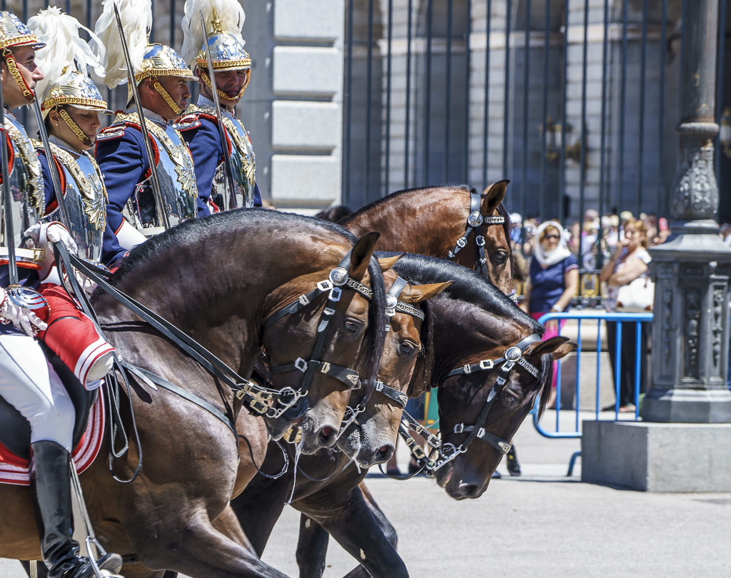 Relevo Solemne y Cambio de Guardia Real, Palacio Real, Madrid, España
